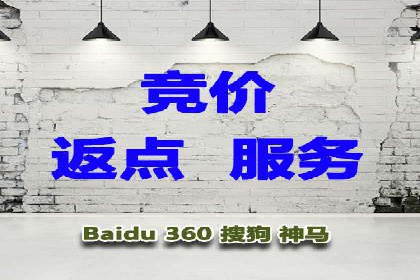 某电商平台的SEM推广实践与效果展示